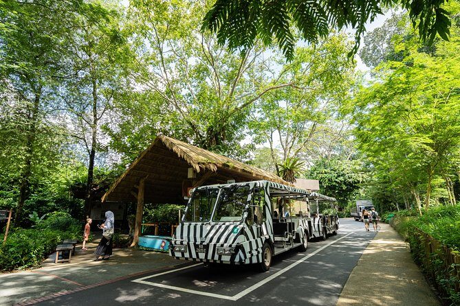 Morning at the Zoo with 1-way Transfer (Free & Easy) - FAQ