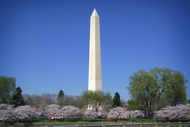Morning Cherry Blossom Bus Tour with Washington Monument Ticket - Final Thoughts: Who Will Love This Tour?