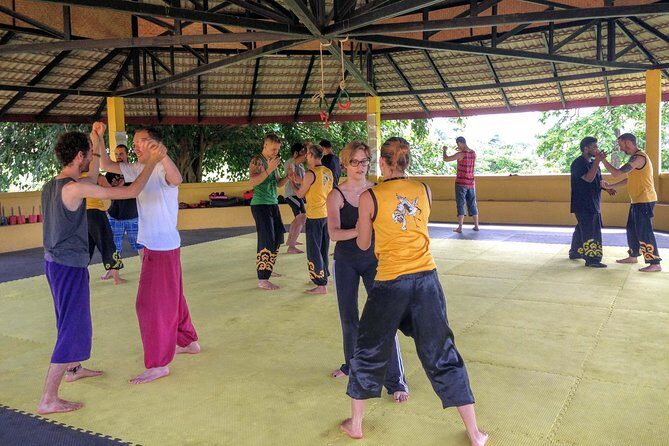 Morning Course - Shaolin Kung Fu and Qigong Training - Who Should Consider This Tour?