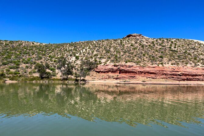 Morning Cruise on the Murchison River in Kalbarri (April to Nov) - A Deep Dive into the Murchison River Morning Cruise
