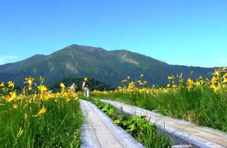 Morning departure-Shinjuku day trip: <Hatotoge Pass> A day trip to the distant "Oze" where wild flowers bloom - Oze by the numbers