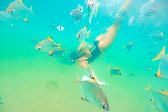 Morning Kayaking and Snorkeling Tour - Starting Point and Logistics