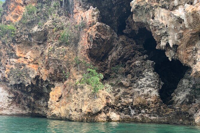 Morning Kayaking Tour to Little Bay - Who Will Love This Experience