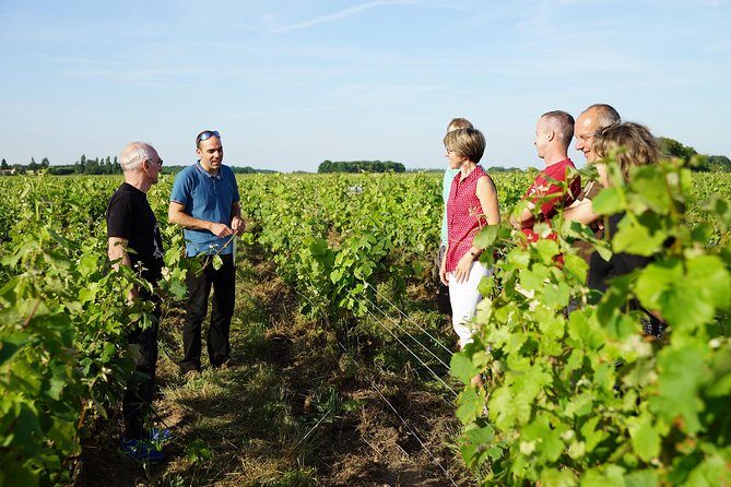 Morning - Loire Valley Wine Tour & Food Pairing, Vouvray - An In-Depth Look at the Loire Valley Wine Tour & Food Pairing