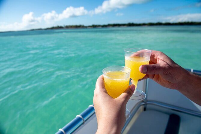 Morning Mimosa and Swim 2hr Luxury Cruise in Marathon FL - Discover the Tranquility of a Morning on the Water in Marathon, FL