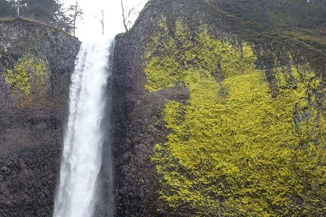 Morning Multnomah Falls and Gorge Waterfalls Tour - FAQ