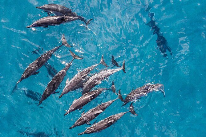 Morning Na Pali Adventure & Snorkel Tour (Hanalei Departure) - A Deep Dive into the Experience