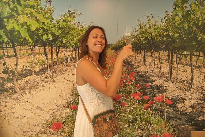 Morning Provençal Market & Food Discovery Tour - What to Expect on the Morning Provençal Market & Food Discovery Tour