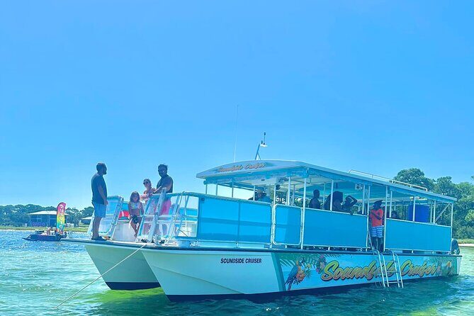 Morning Snorkel & Dolphin Adventure - An In-Depth Look at the Tour Experience