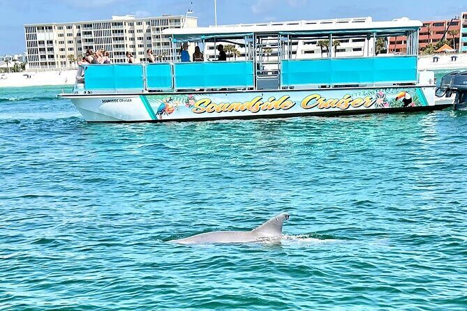 Morning Snorkel & Dolphin Adventure - FAQ: Your Questions Answered