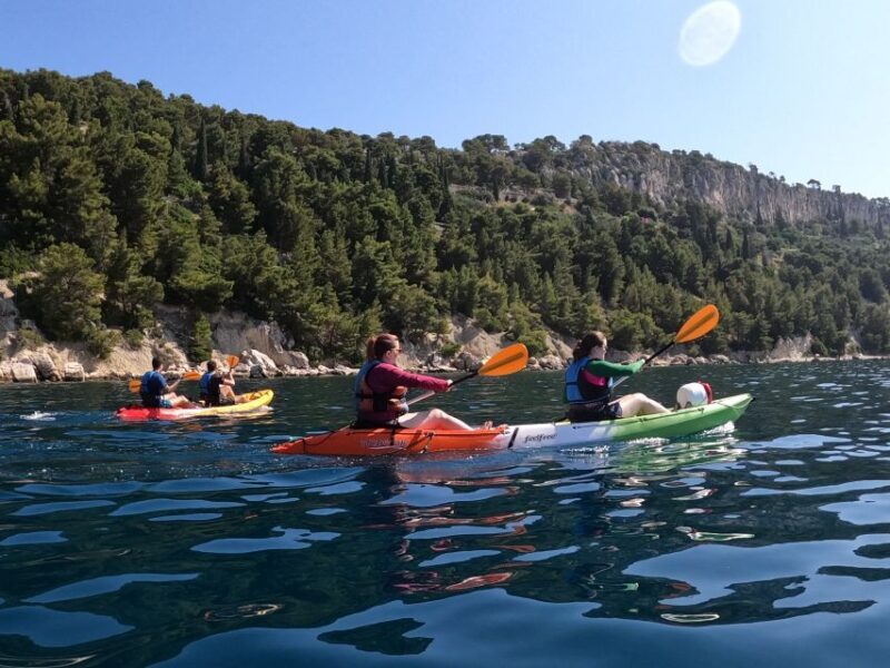 Morning Split Sea Kayaking Tour - Key Points