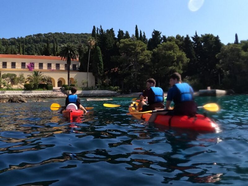 Morning Split Sea Kayaking Tour - Group Size, Duration, and Price