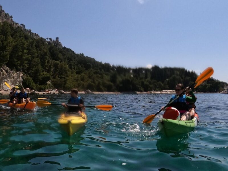 Morning Split Sea Kayaking Tour - Final Thoughts: Who’s It Best For?