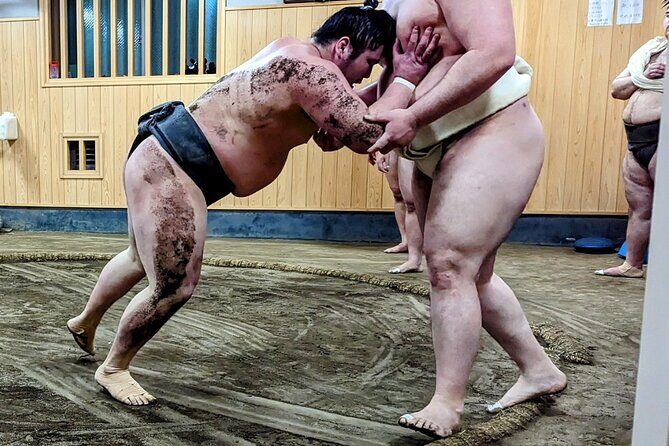 Morning Sumo Practice Viewing in Tokyo - Key Points