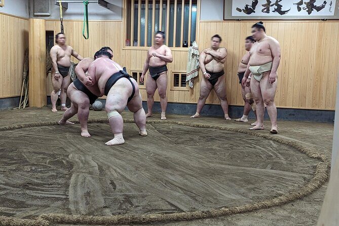 Morning Sumo Practice Viewing in Tokyo - Frequently Asked Questions