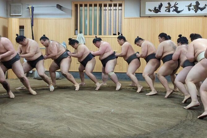 Morning Sumo Practice Viewing in Tokyo - Final Thoughts