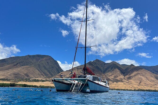 Morning Turtle Town Snorkel at Coral Gardens - Who Will Love This Tour?