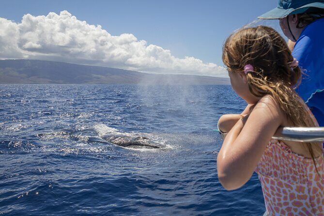 Morning Whale Watching Tour in Maui with Continental Breakfast - The Value of the Experience