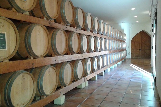 Morning Wine Tour to Chateauneuf du Pape from Avignon - Practical Tips for Travelers