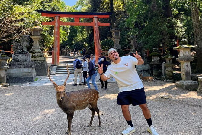 Morning Wonder World Heritage Nara Guided Tour - Practical Considerations and Tips