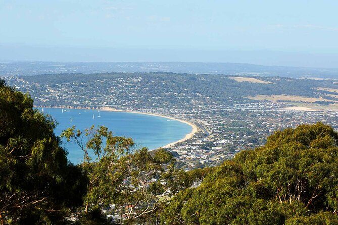 Mornington Peninsula Boutique Wine and Lunch Small Group Tour - Who Should Book This Tour?