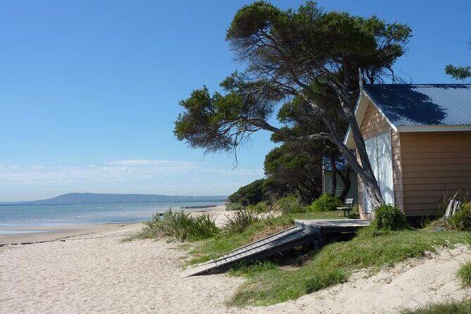 Mornington Peninsula Coastal Discovery Tour from Melbourne - Discover the Mornington Peninsula Coastal Wonder with a Small-Group Tour from Melbourne