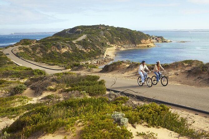 Mornington Peninsula Coastal Discovery Tour from Melbourne - An In-Depth Look at the Mornington Peninsula Coastal Discovery Tour