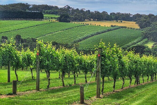 Mornington Peninsula Day Tour. Your Day Your Way. Your group only - Mornington Peninsula Day Tour. Your Day Your Way. Your Group Only