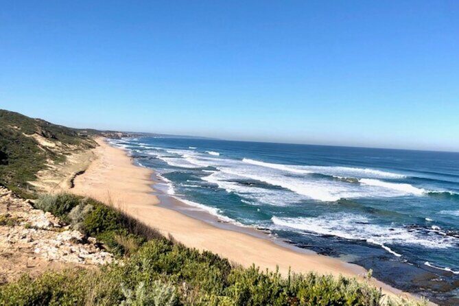 Mornington Peninsula Day Tour. Your Day Your Way. Your group only - The Sum Up