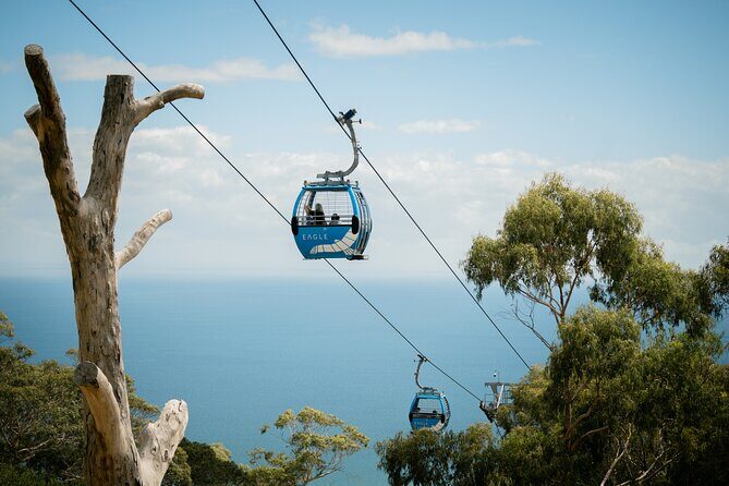 Mornington Peninsula Departure Wine and Hot Springs Tour - A Day in the Mornington Peninsula: Wine, Views, and Hot Springs