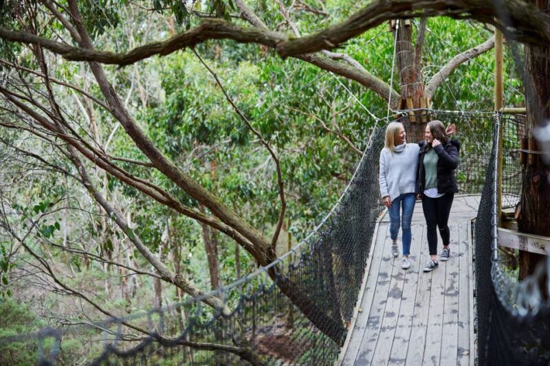 Mornington Peninsula: Enchanted Adventure General Admission - Key Points