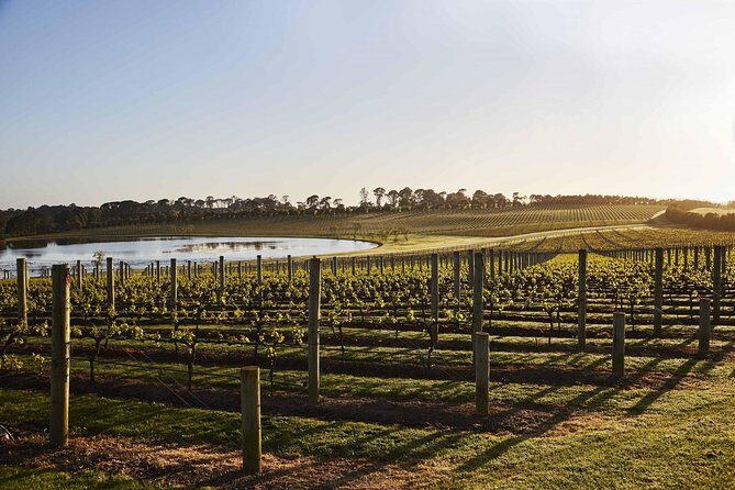 Mornington Peninsula Food and Wine Taste Trail - Key Points