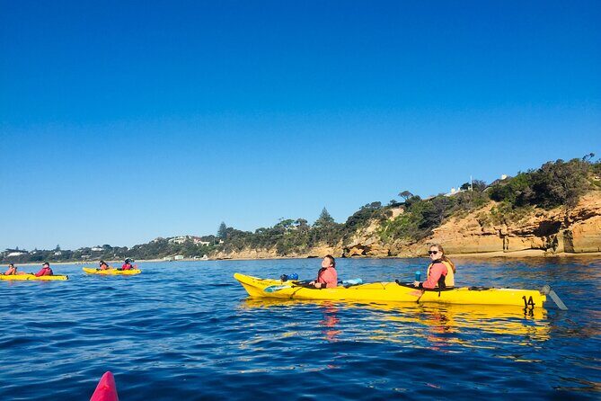 Mornington Peninsula Kayak Coastline Tour of Dolphin Sanctuary - A Final Word