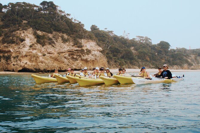 Mornington Peninsula Kayak Coastline Tour of Dolphin Sanctuary - FAQs