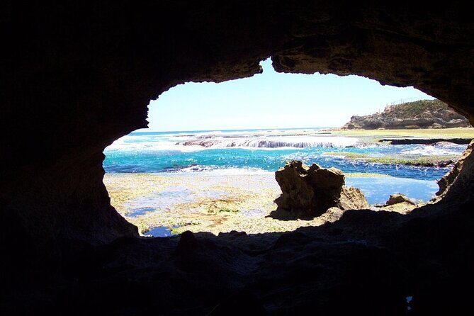 Mornington Peninsula Private Day Tour - A Detailed Look at the Mornington Peninsula Private Tour