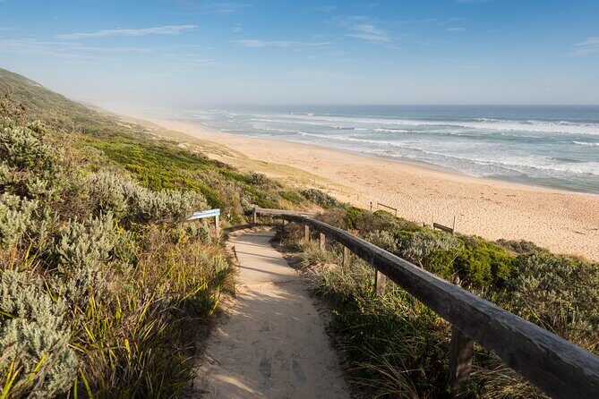 Mornington Peninsula Private Day Tour - Final Thoughts: Is This Tour Right for You?