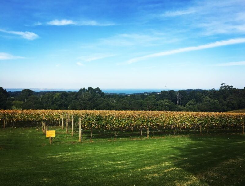 Mornington Peninsula Scenic Bus Tour with Chairlift & Lunch - Frequently Asked Questions
