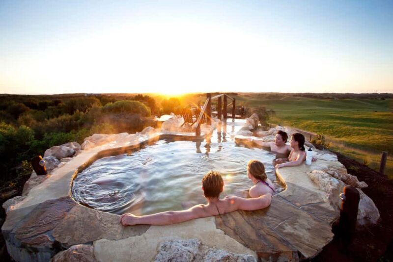 Mornington Peninsula Tour: wildlife, wine, art & hot springs - An in-depth look at what this tour offers