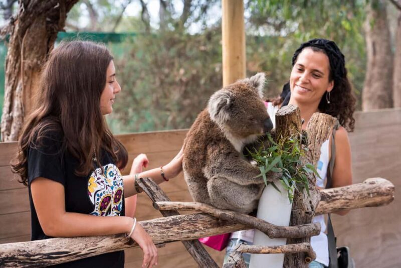 Mornington Peninsula Tour: wildlife, wine, art & hot springs - Authentic traveler insights