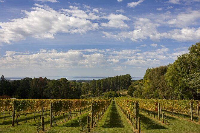Mornington Peninsula Wine Day Tour - The Experience in Detail