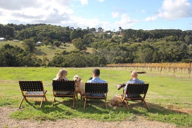 Mornington Peninsula Winery, Beer and Spirits Tour - Who this tour is perfect for