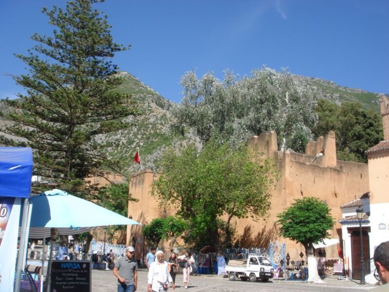 Morocco Day Trip with Tour Guide and Lunch from Algeciras - Crossing the Strait: From Spain to Morocco in Comfort