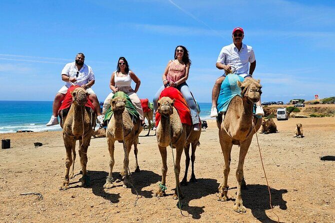Morocco: Tangier Private Tour from Malaga & Tarifa. All Inclusive - A Deep Dive into the Tangier Private Tour