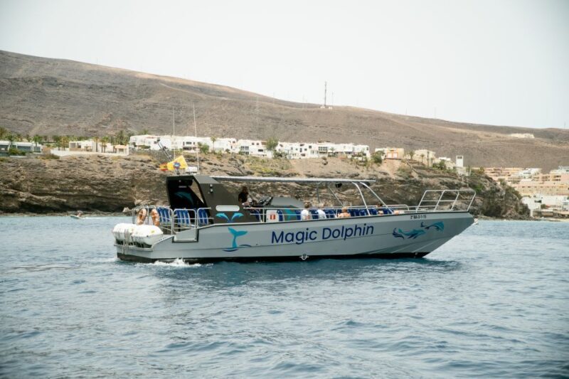 Morro Jable: Dolphin & Whale Watching Cruise, Drinks & Swim - Morro Jable: Dolphin & Whale Watching Cruise, Drinks & Swim — A Practical Guide