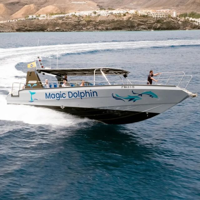 Morro Jable: Dolphin & Whale Watching Cruise, Drinks & Swim - Final Thoughts