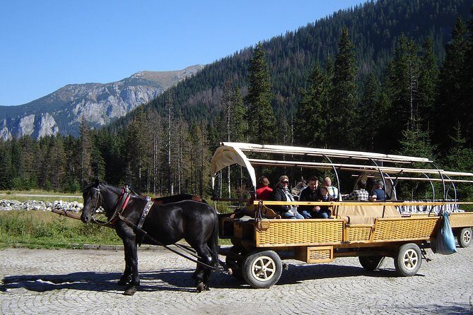 Morskie Oko Lake, Zakopane and Thermal Pools - Authentic Local Experiences and Reviewer Insights