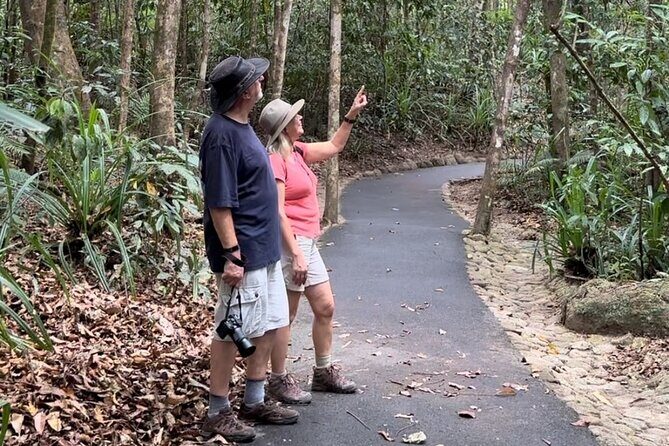 Mossman Gorge Daintree Experience Small Groups - Discover the Daintree & Mossman Gorge: A Small-Group Adventure