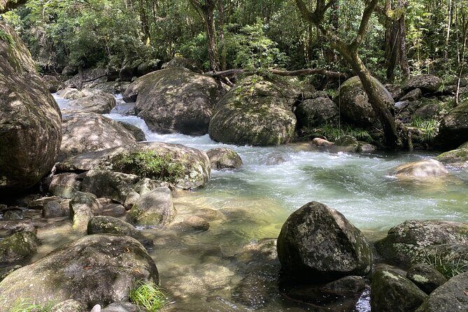 Mossman Gorge Daintree Experience Small Groups - Final Thoughts