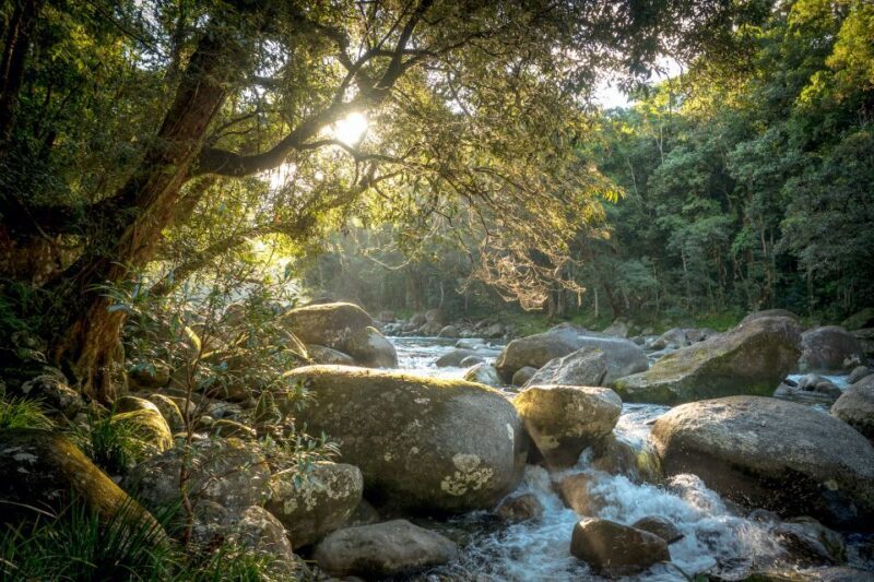 Mossman Gorge: Day Tour with River Drift Experience - Mossman Gorge: Day Tour with River Drift Experience