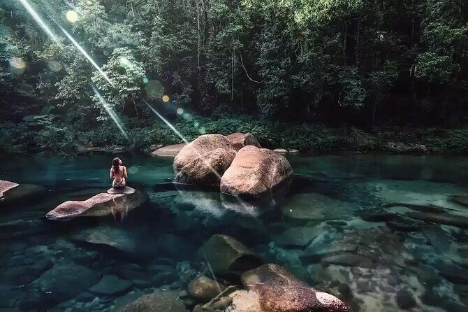 MOSSMAN GORGE TRANSFER between Port Douglas and Mossman Gorge (return) - A Practical Guide to the Mossman Gorge Transfer Experience